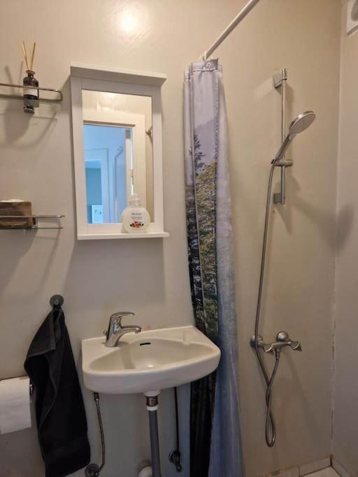 Apartment In Downtown Reykjavík Kültér fotó